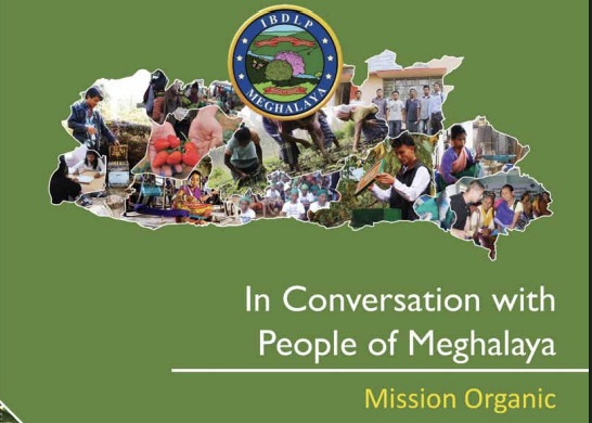  InConversation Vol 9 MLAMP