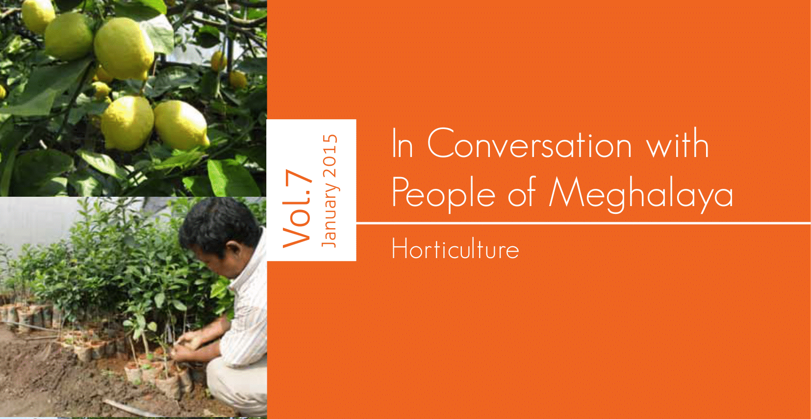  InConversation Vol 7 MLAMP